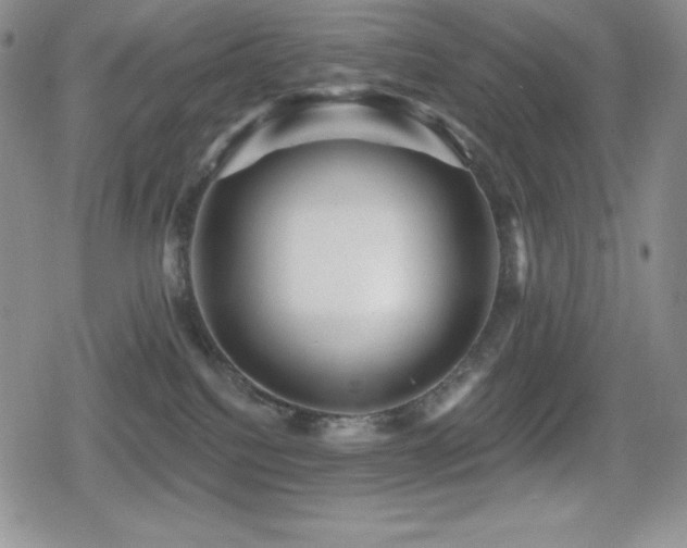 X0000080740088200612151300