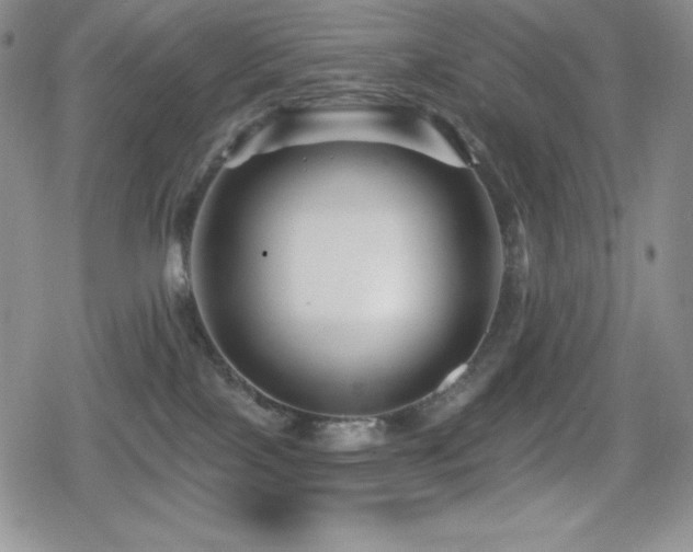 X0000080740089200612151300