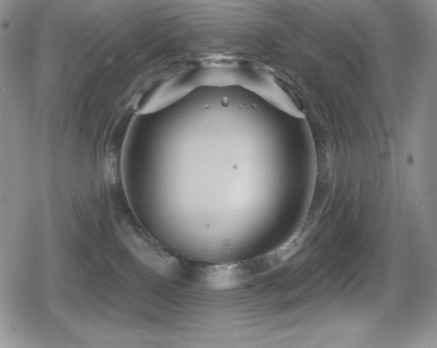 X0000080740090200612151300
