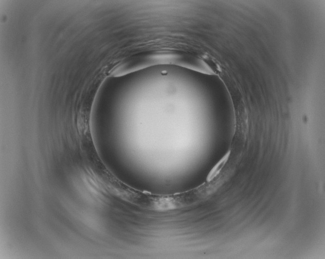 X0000080740091200612151300