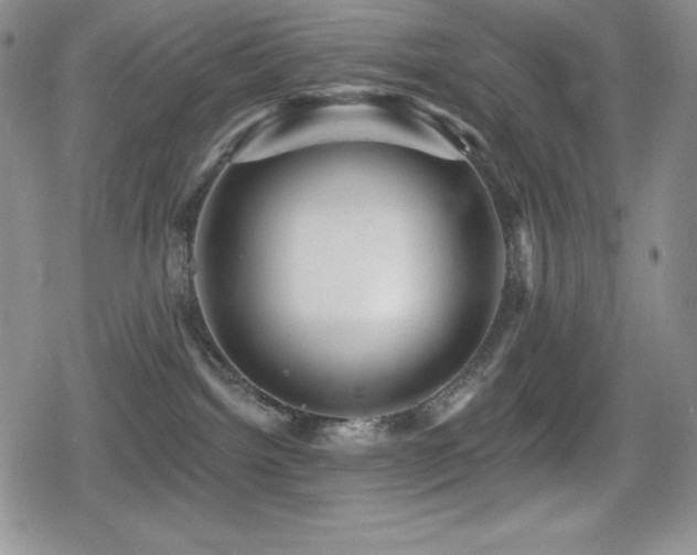 X0000080740092200612151300
