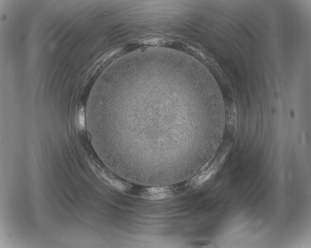 X0000080740095200612151300