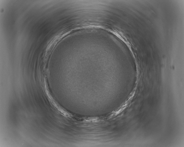 X0000080740097200612151259