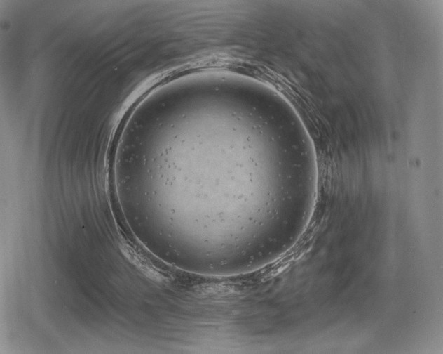 X0000080740100200612151259