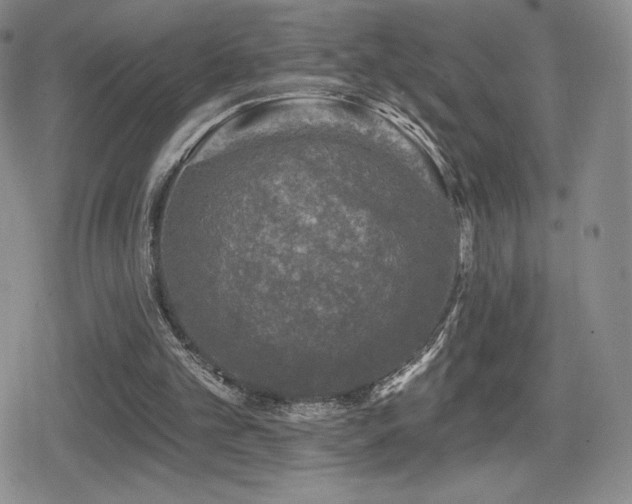 X0000080740101200612151259