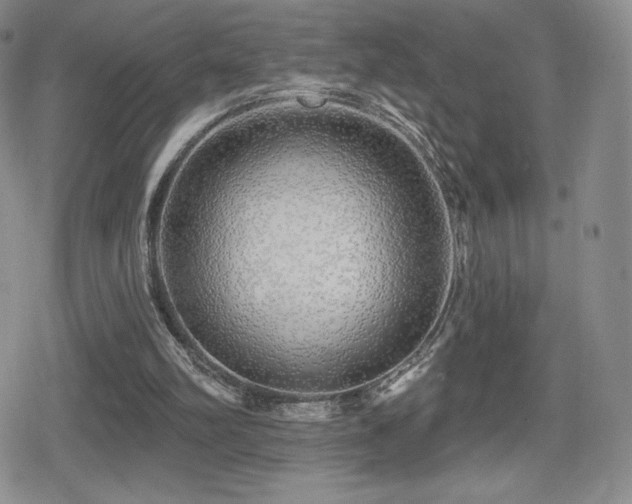 X0000080740102200612151259