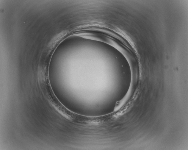 X0000080740105200612151259