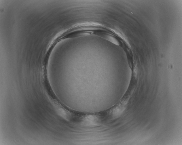 X0000080740111200612151259