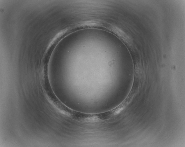 X0000080740112200612151259