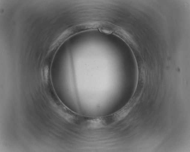 X0000080740118200612151259