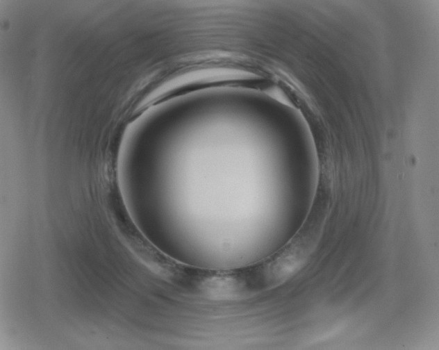 X0000080740119200612151259