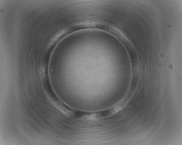 X0000080740120200612151259