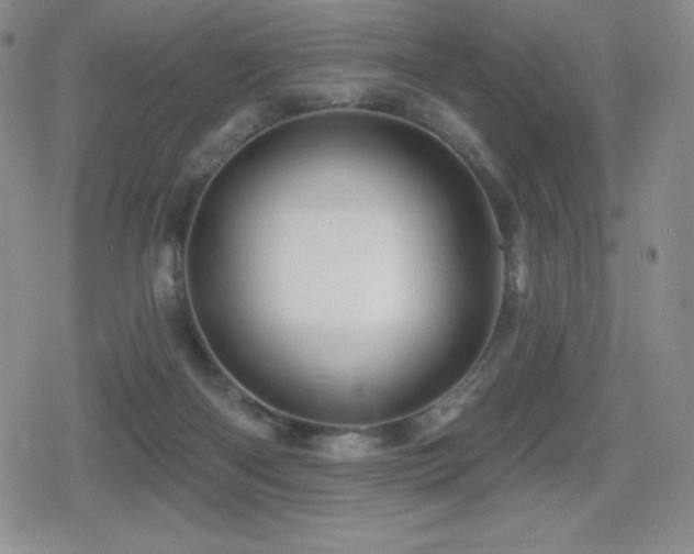 X0000080740122200612151259