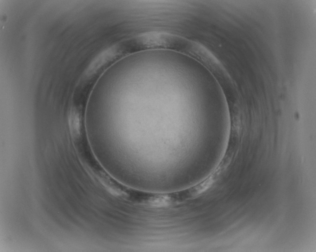 X0000080740124200612151259