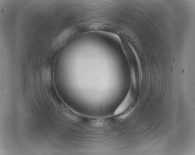 X0000080740127200612151259