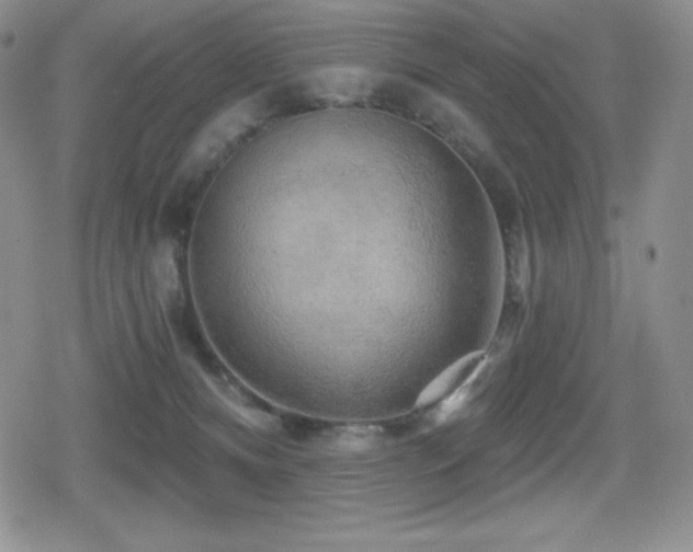 X0000080740128200612151259