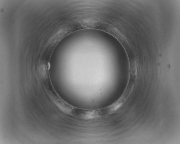 X0000080740130200612151259