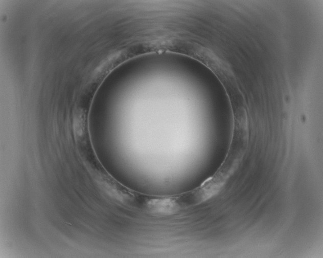 X0000080740133200612151259