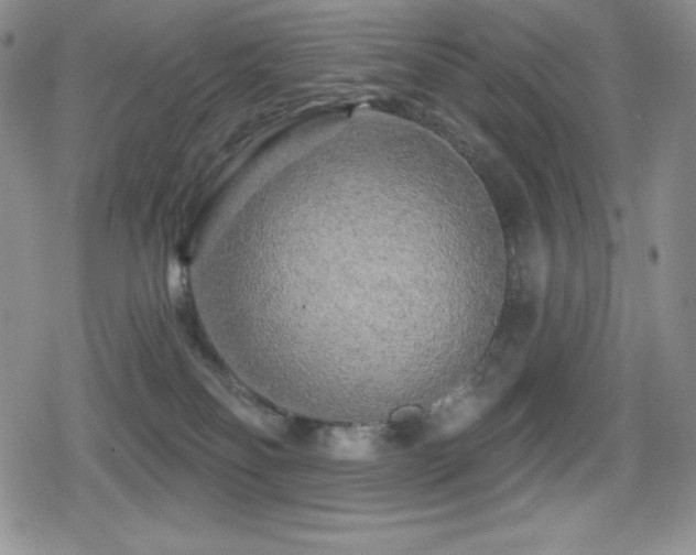 X0000080740134200612151259