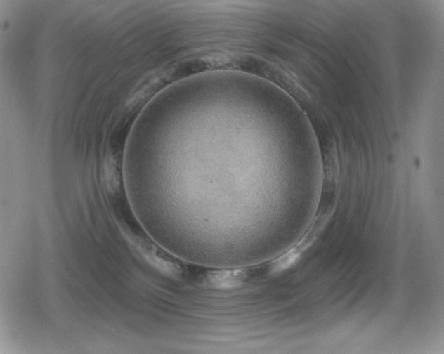 X0000080740136200612151259
