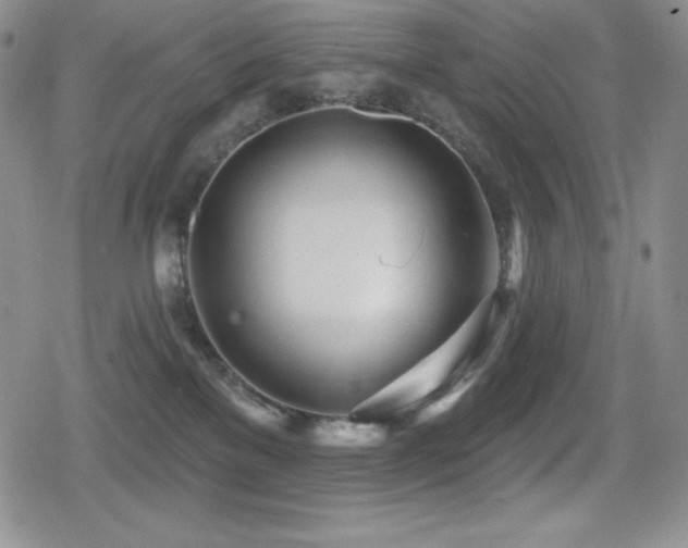 X0000080740137200612151259