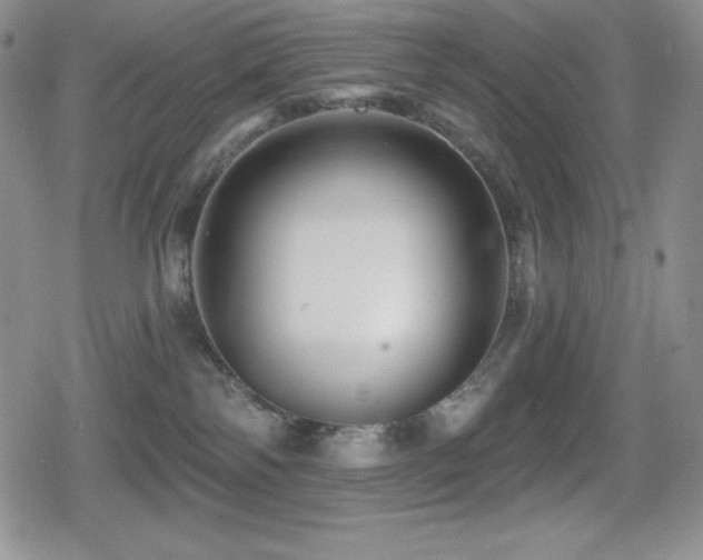 X0000080740138200612151259