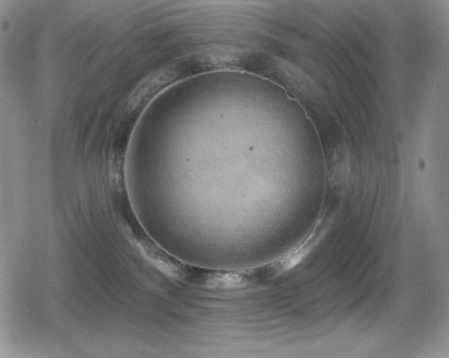 X0000080740140200612151259