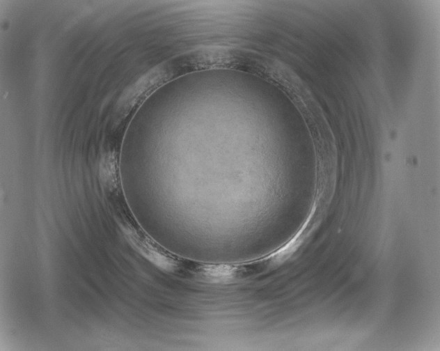 X0000080740144200612151259