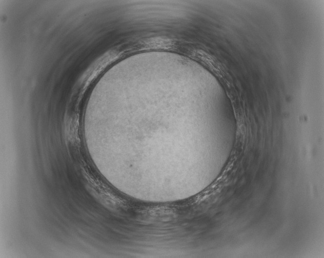 X0000080740146200612151258
