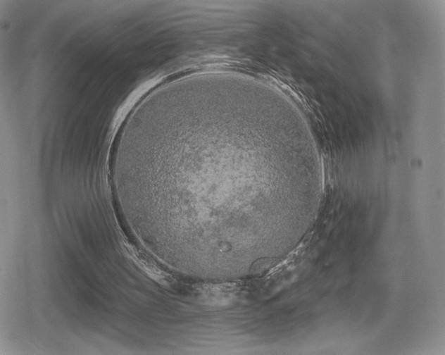 X0000080740147200612151258