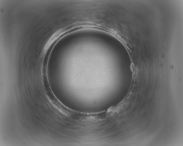 X0000080740151200612151258