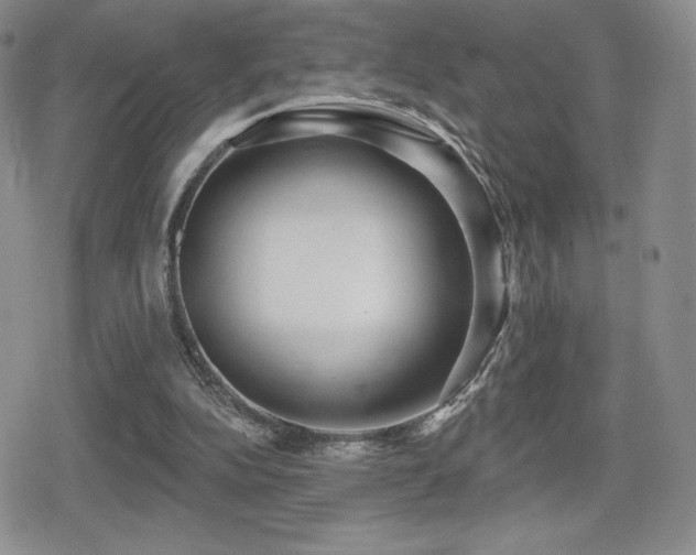 X0000080740152200612151258