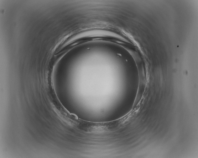 X0000080740154200612151258