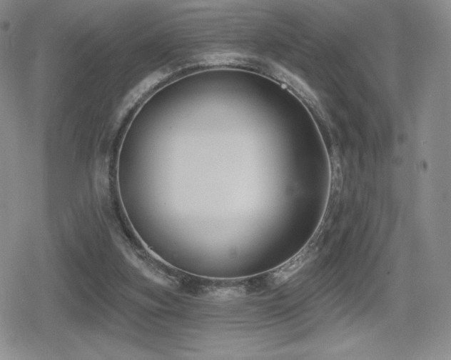 X0000080740155200612151258