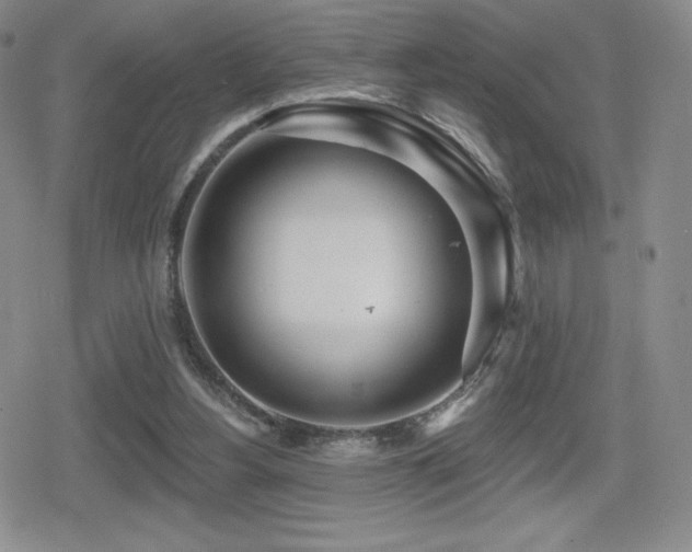 X0000080740156200612151258