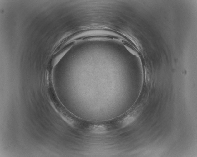 X0000080740157200612151258