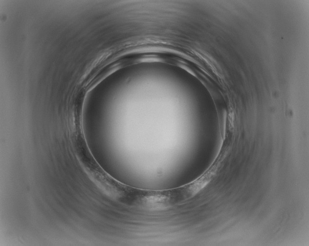 X0000080740158200612151258
