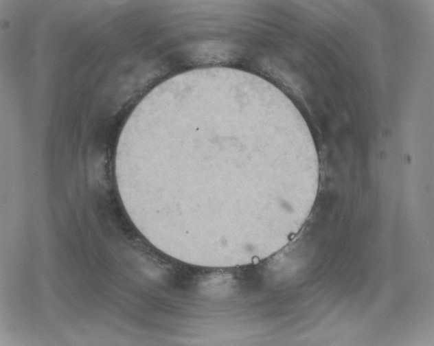 X0000080740162200612151258