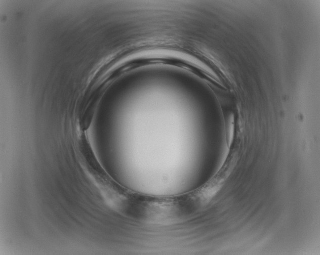X0000080740164200612151258