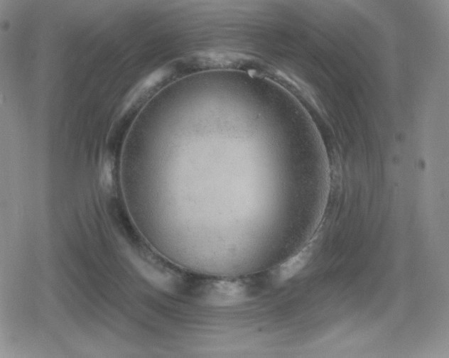X0000080740166200612151258