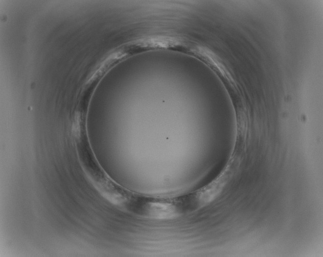 X0000080740167200612151258