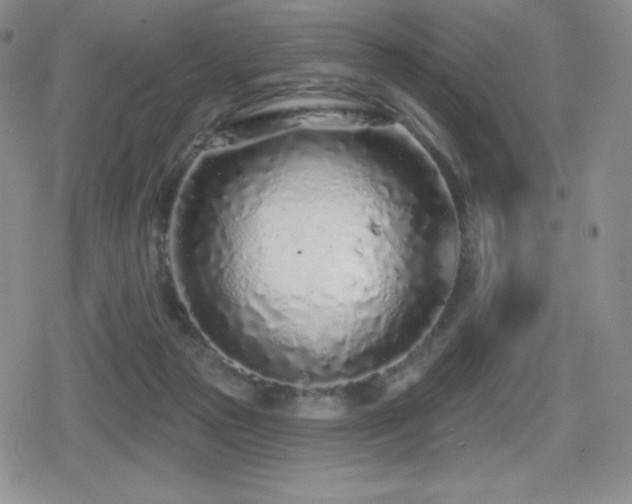 X0000080740169200612151258