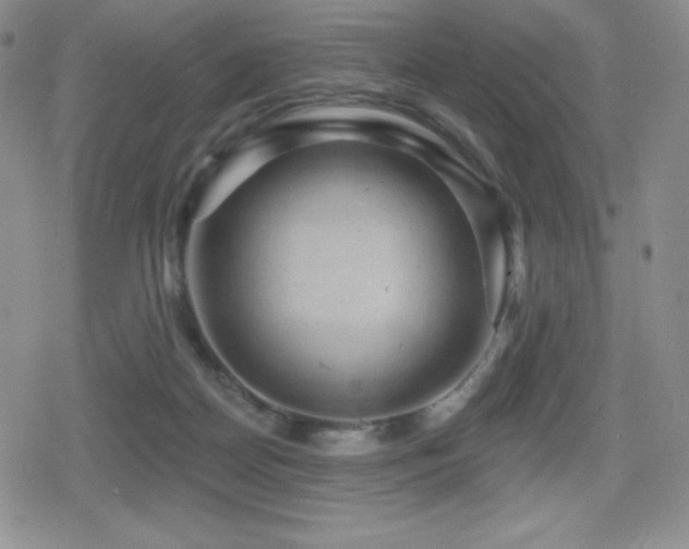 X0000080740170200612151258
