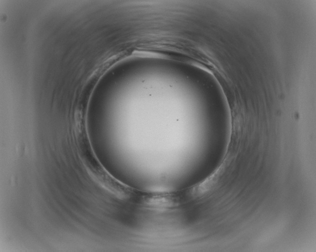 X0000080740171200612151258