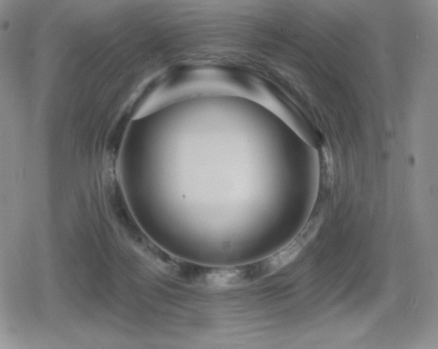 X0000080740172200612151258