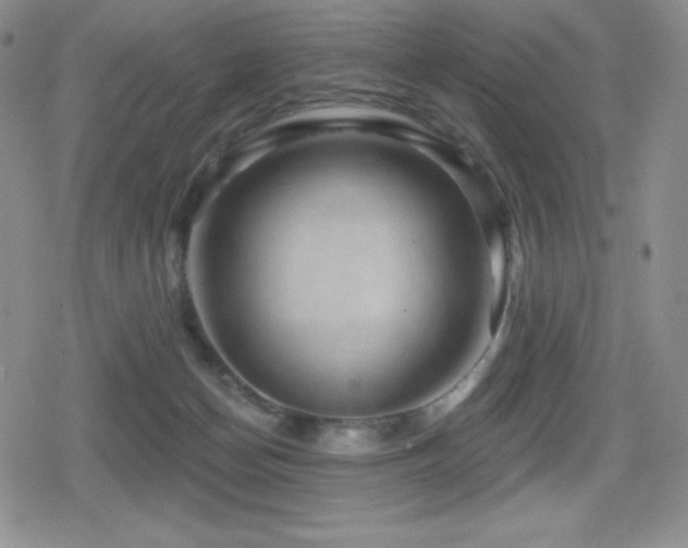X0000080740174200612151258