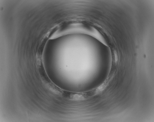 X0000080740180200612151258