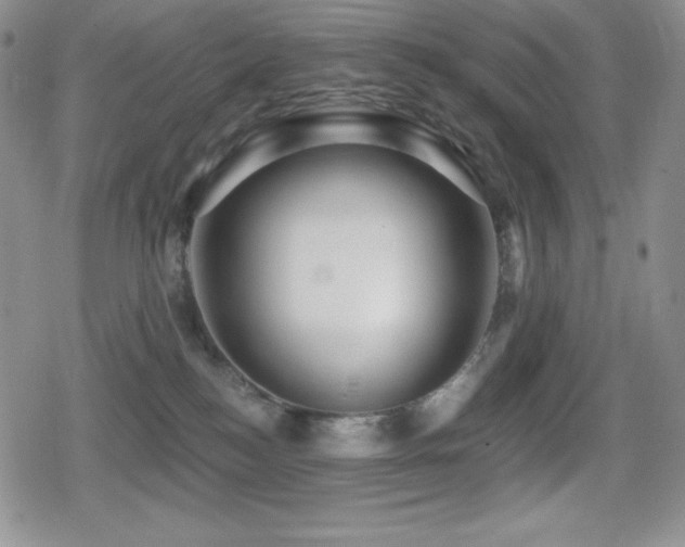 X0000080740184200612151258