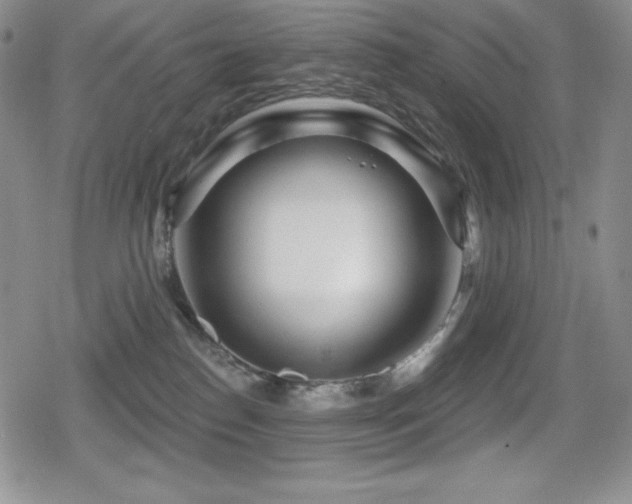 X0000080740186200612151259