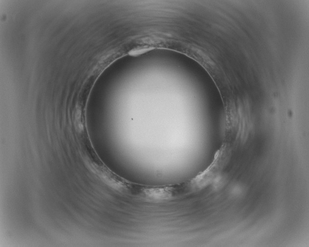 X0000080740187200612151259
